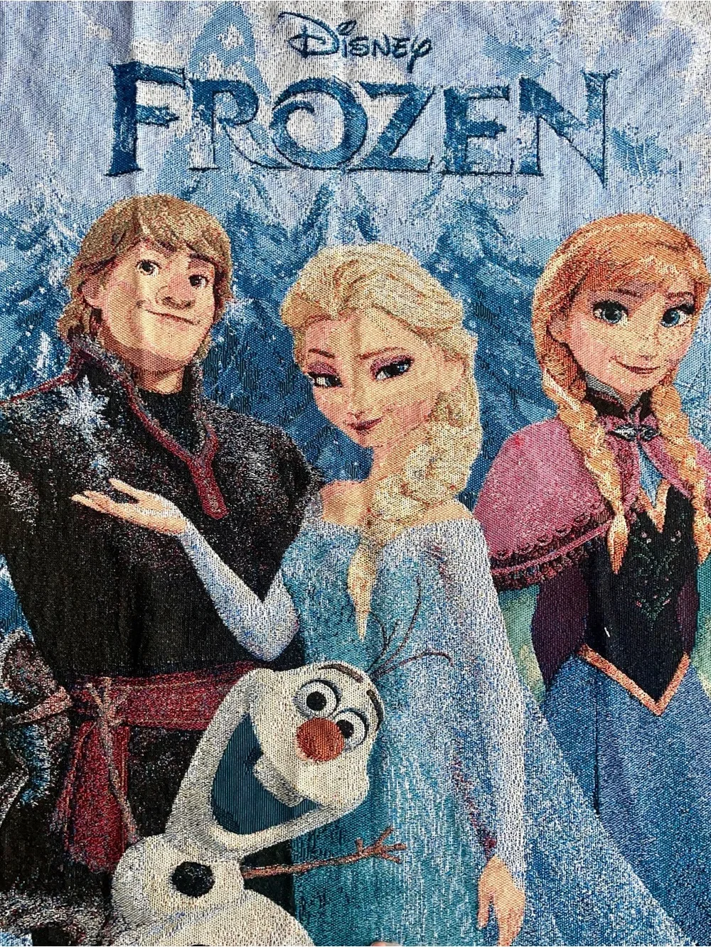 Northwest Frozen Character Woven Throw Blanket - Blue, Pink, White